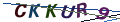 Код безопасности